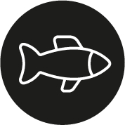 Fische-Icon